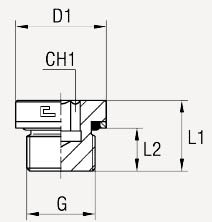 BSP с внутренним шестигранником, уплотнение тип Н