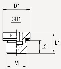 Метрика с внутренним шестигранником, уплотнение тип Н