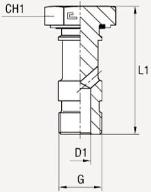 Болт банджо