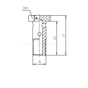 Фитинги для РВД BANJO BOLT BSP дюймовые