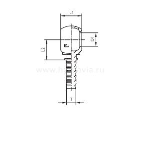 Фитинги для РВД BANJO BSP дюймовые