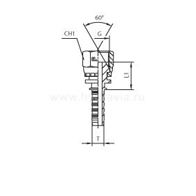 BSP внутренняя резьба - предварительно обжатая гайка - конус 60° - ISO 8434-6 (BS 5200)