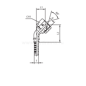 BSP внутренняя резьба угол 45° фиксир. накидная гайка - конус 60° O-RING - ISO 8434-6 (BS 5200) BSP внутренняя резьба угол 45° фиксир. накидная гайка - конус 60° O-RING - ISO 8434-6 (BS 5200)