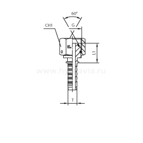 BSP внутренняя резьба фиксир. накидная гайка - конус 60° O-RING - ISO 8434-6 (BS 5200) BSP внутренняя резьба фиксир. накидная гайка - конус 60° O-RING - ISO 8434-6 (BS 5200)