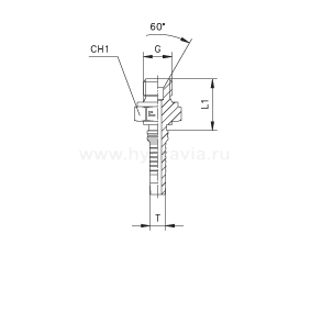 BSP Interlock наружная резьба конус 60° - ISO 8434-6 (BS 5200)
