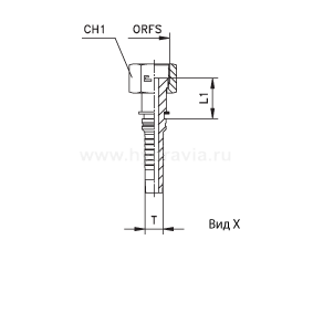ORFS Interlock внутренняя резьба предварительно обжатая гайка/накидная гайка - ISO 8434-3 (SAE J1453) ORFS Interlock внутренняя резьба предварительно обжатая гайка/накидная гайка - ISO 8434-3 (SAE J1453)